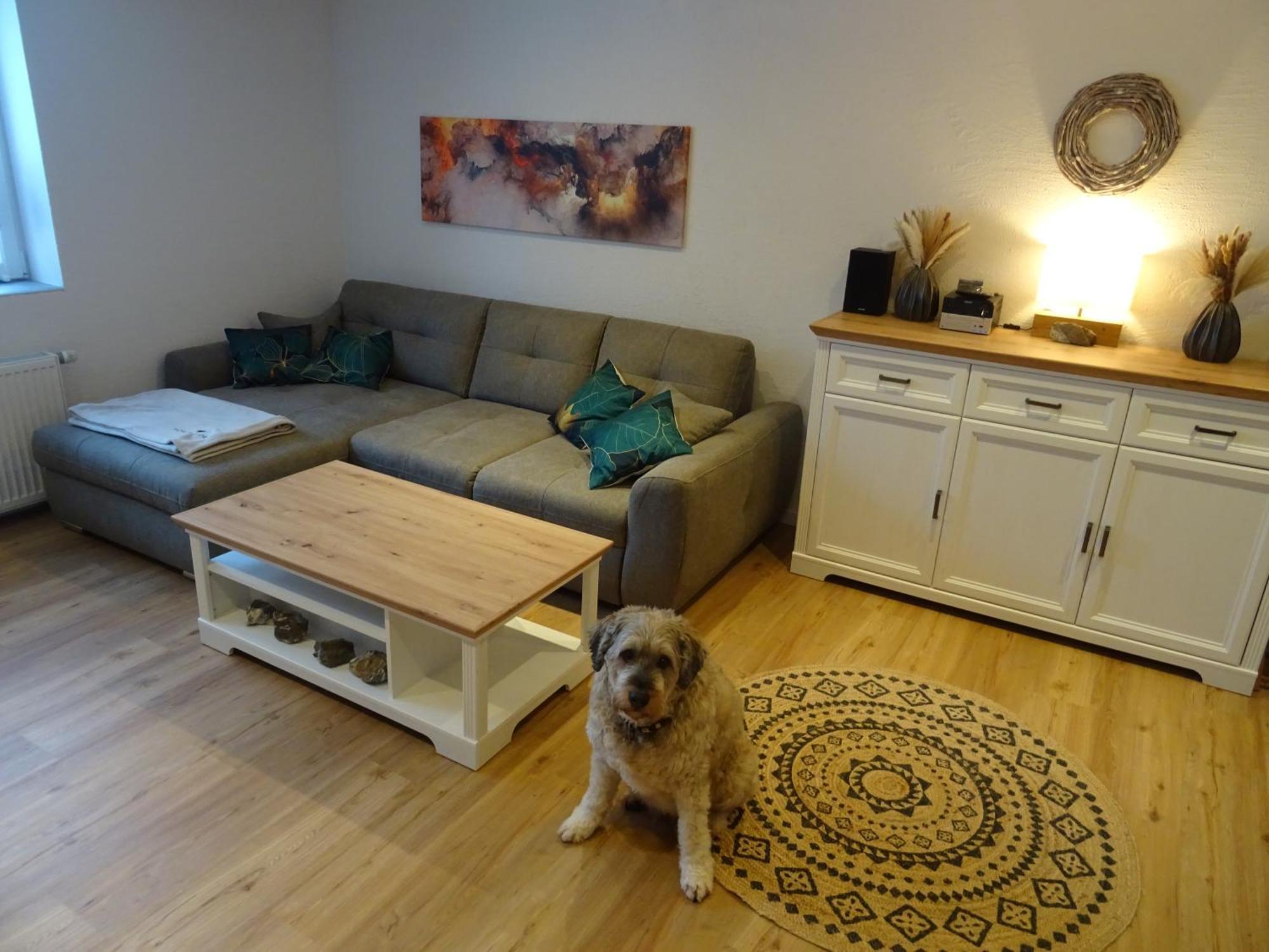 Sammy'S Fewo Goslar Luaran gambar